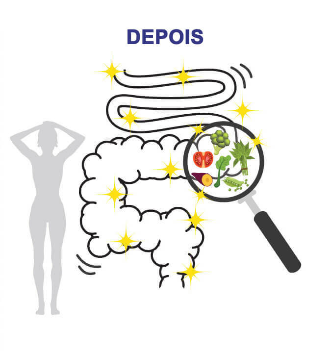 O intestino está cheio de depósitos, incapaz de queimar gordura. Metabolismo ruim. Intestino limpo com motilidade saudável. Metabolismo saudável e queima de gordura rápida.